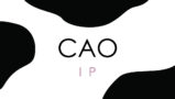 Cao Intellectual Property Services, LLC